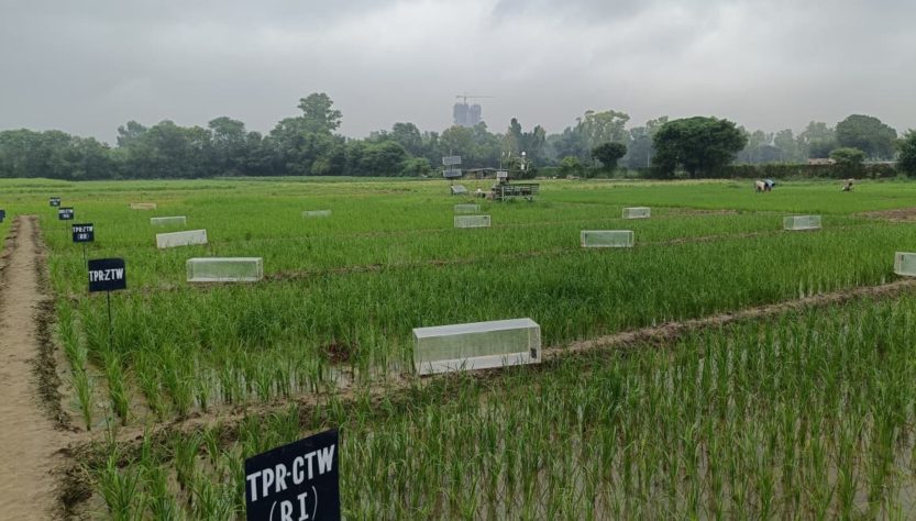 Kering-supported fund Mirova invests $30.5M into India's Varaha for sustainable agriculture