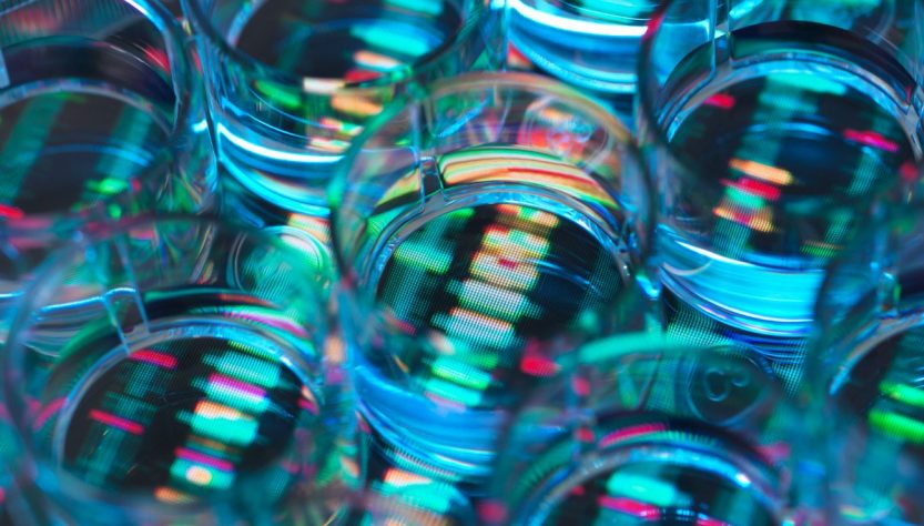 Chai Discovery, a biotech company supported by OpenAI, secures $130M in Series B funding at a valuation of $1.3B.