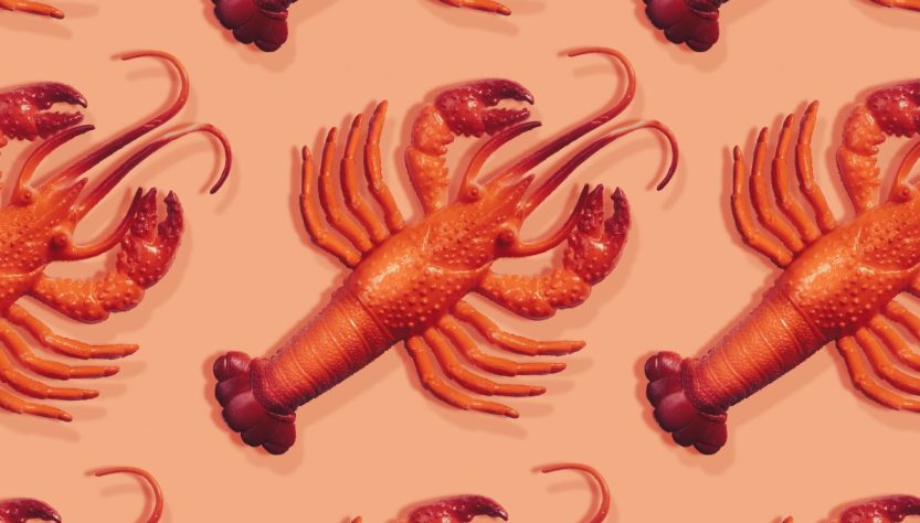 Everything you need to know about viral personal AI assistant Clawdbot (now Moltbot)