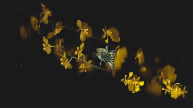 AI’s pledge to independent filmmakers: Quicker, less expensive, more solitary