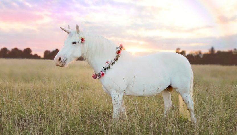 Meet the new European unicorns of 2026