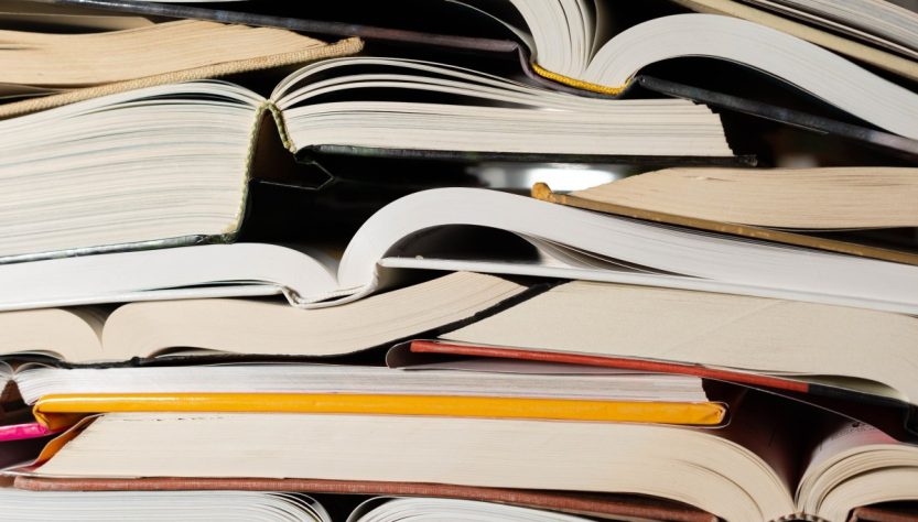 Publisher withdraws horror novel âShy Girlâ due to AI issues