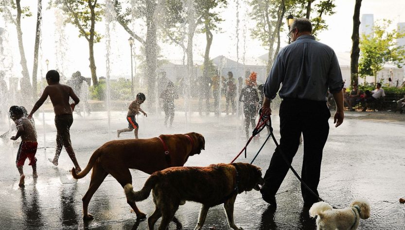 New York set to endure heat levels exceeding those of Phoenix