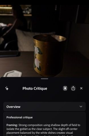 The latest functionality of the Adobe camera app will evaluate your images with the help of AI.