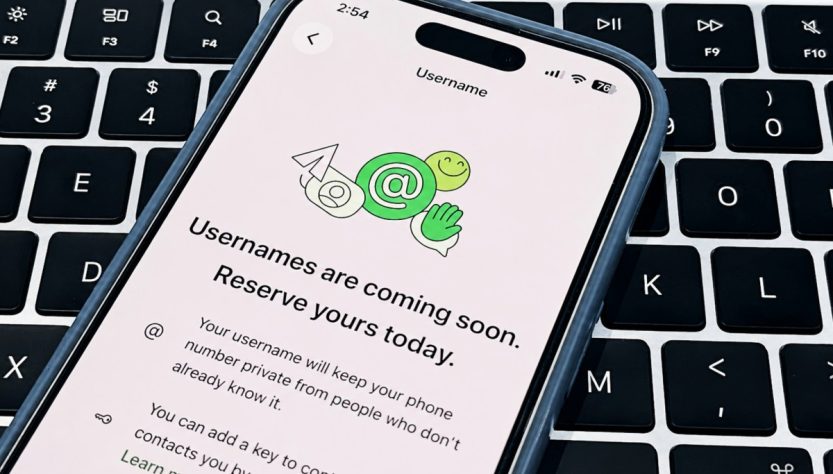 WhatsApp usernames are already triggering warnings for impersonation.