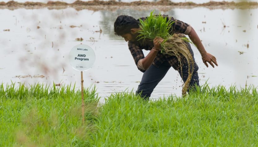 Saudi Aramco supports India’s Mitti Labs in enhancing water resilience for rice agriculture in Asia.