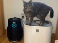 Shark's NeverChange Air Purifier is Almost 50% Discounted at This Moment