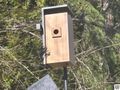The Intelligent Bird Feeders That Are the Buzz of the Town (and Truly Selling) (2026)